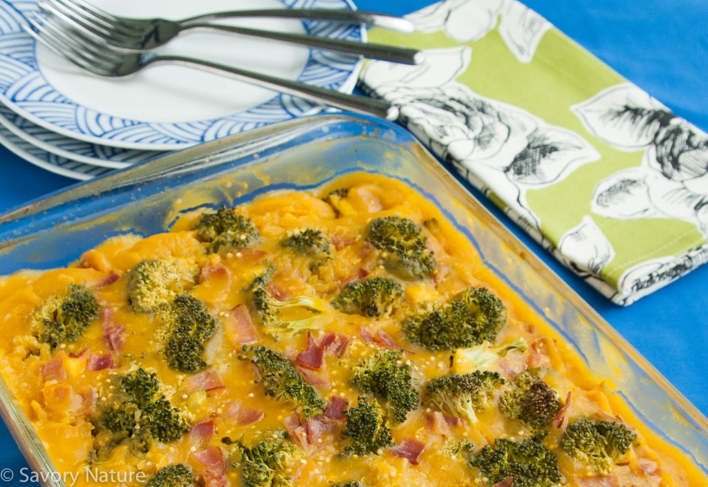 Chicken Broccoli Quinoa Squash Casserole