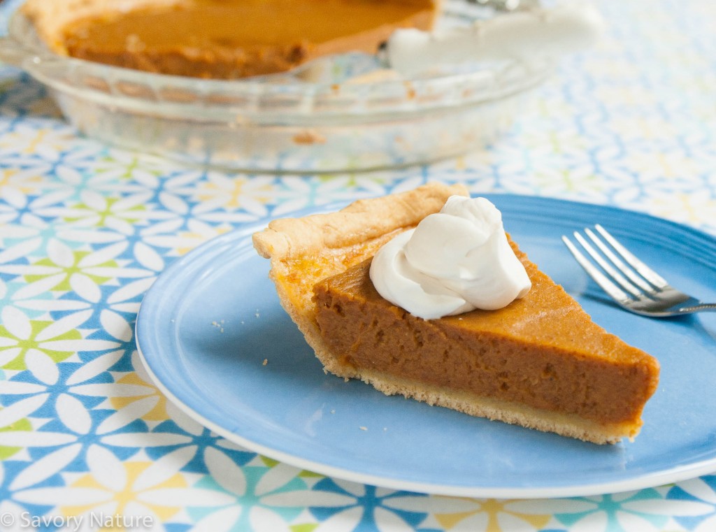 Pumpkin Pie - Gluten Free Dairy Free